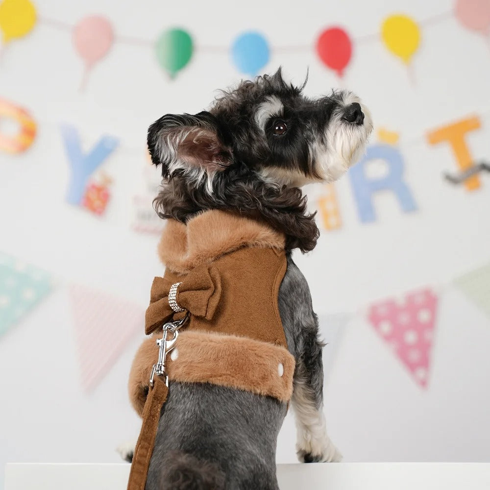 Soft Plush Small Dog Harness and Leash Set with Cute Removable Bowtie, Warm Padded Vest for Puppies, Adjustable Chest Strap for Safe Walking