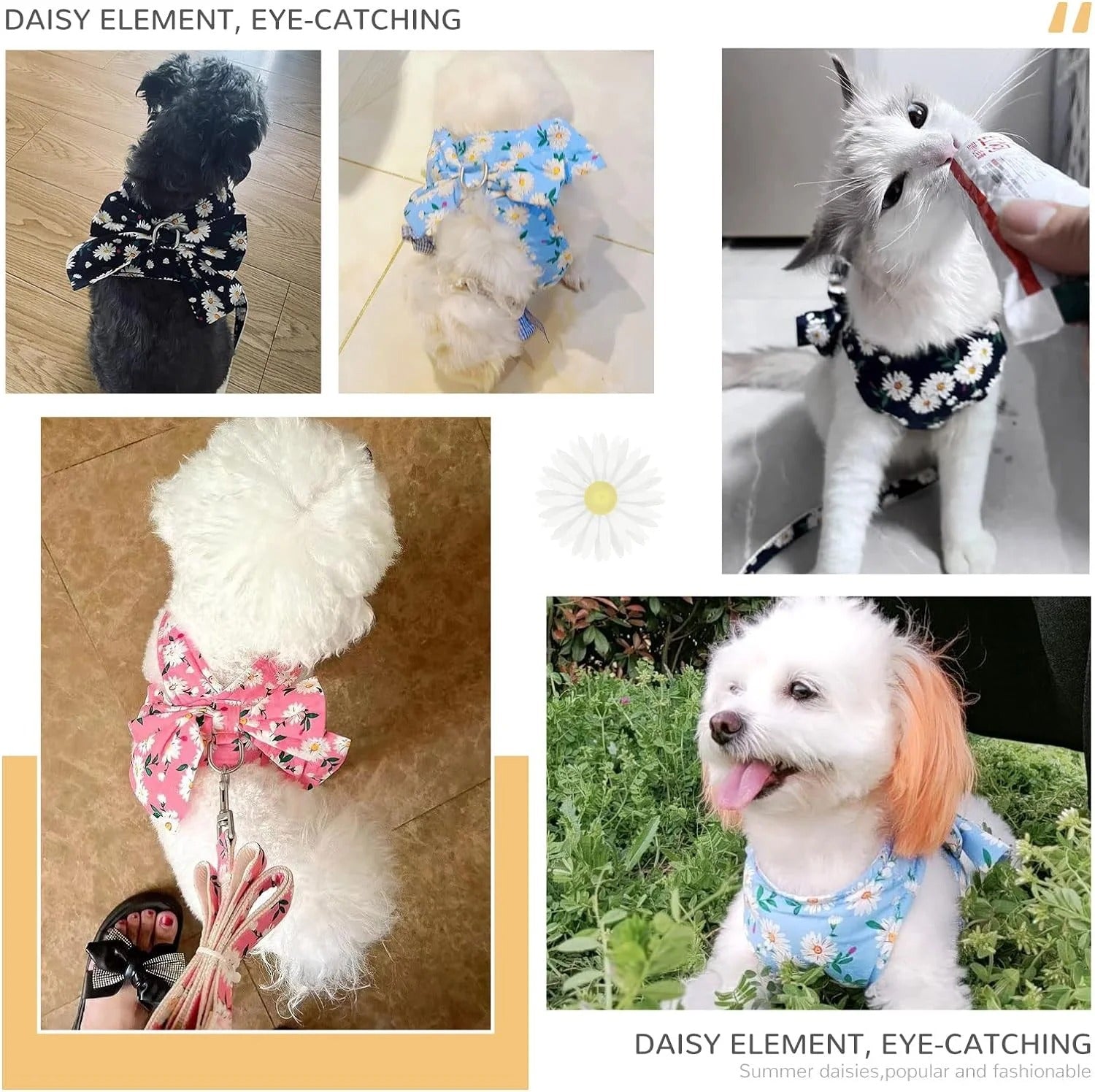 No Pull Small Dog and Cat Harness with Floral Pattern, Escape-Proof Adjustable Puppy Vest and Matching Leash Set for Girls, Soft Breathable Mesh for Comfortable Walks (Pink)