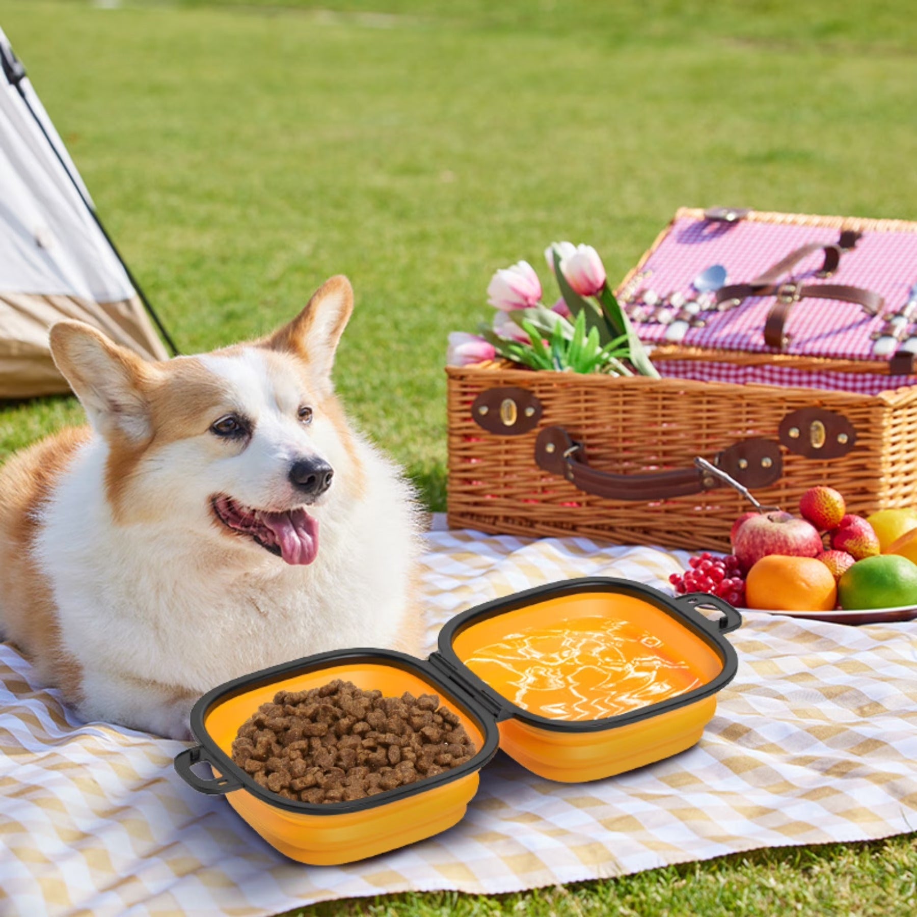 Foldable Silicone Pet Travel Bowl for Dogs and Cats, 2-in-1 Portable Food and Water Dish with Clip for Hiking Camping Walking Outdoor Adventures, Suitable for Cats and Dogs