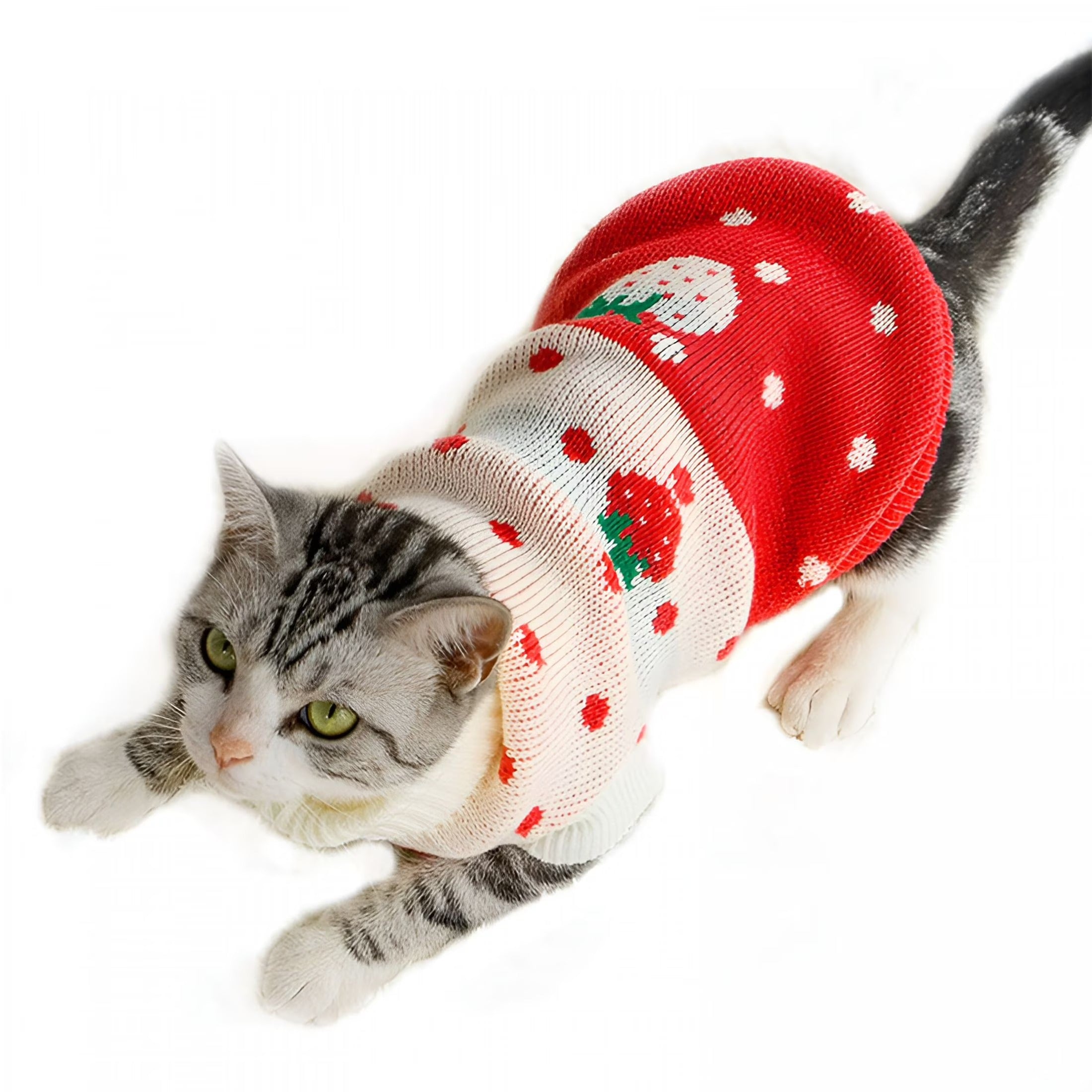 Winter Warm Cat and Puppy Sweater with Turtleneck, Soft Strawberry Knitwear for Small Dogs and Cats, Cozy Wool Pullover for Daily Wear, Walking, Jogging, and Cold Weather