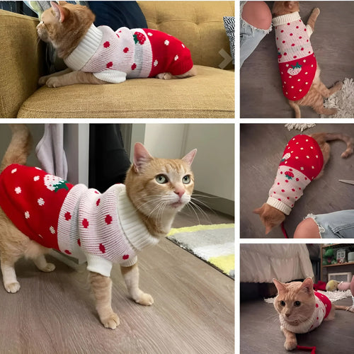 Winter Warm Cat and Puppy Sweater with Turtleneck, Soft Strawberry Knitwear for Small Dogs and Cats, Cozy Wool Pullover for Daily Wear, Walking, Jogging, and Cold Weather